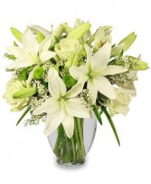 SIMPLICITY Arrangement