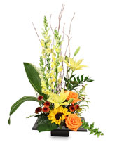 EXPRESSIVE BLOOMS Arrangement