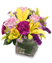 HIGH IMPACT Arrangement