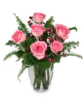 BLUSHING ROSES Arrangement