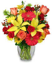 BRING ON THE HAPPY Vase of Flowers