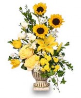 SUNLIGHT SPLENDOR Flower Arrangement