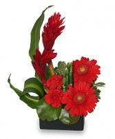 RADIANT IN RED Floral Arrangement