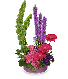 PLUM CRAZY GARDEN Arrangement