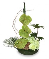 SEA OF GREEN Floral Arrangement