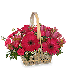 BEST WISHES BASKET of Fresh Flowers