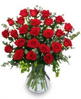 24 RADIANT ROSES Red Roses Arrangement