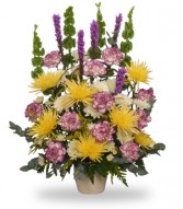 THOUGHTFUL REFLECTIONS  Funeral Arrangement