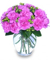 FANCY-FREE FUCHSIA Flowers for Any Occasion