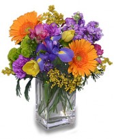 CELEBRATE THE DAY Fresh Flowers