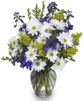 LAZY DAISY & DELPHINIUM Just Because Flowers