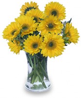 HELLO SUNSHINE! Vase of Flowers