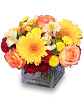 AUTUMN AFFECTION Floral Bouquet in New Hamburg, ON | ALL FLOWERS & CHARM