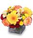 AUTUMN AFFECTION Floral Bouquet