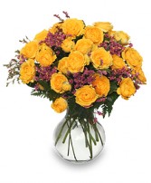 ROSES REJOICE! Golden Yellow Spray Roses