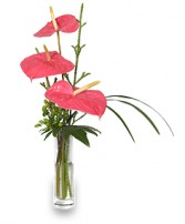 BEYOND A BUD VASE Arrangement