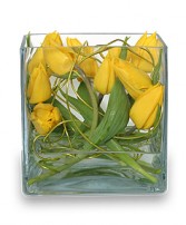 TWIRLING TULIPS Arrangement