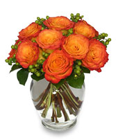 FLAMES OF PASSION Roses Arrangement in New Hamburg, ON | ALL FLOWERS & CHARM