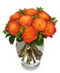 FLAMES OF PASSION Roses Arrangement