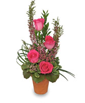 THANKS FOR ALL YOU DO! Secretary's Day Flowers
