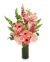 PINK PERSUASION Arrangement