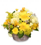 SUNNY FLOWER PATCH in a Basket
