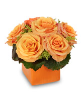 TANGERINE TWIST Rose Arrangement